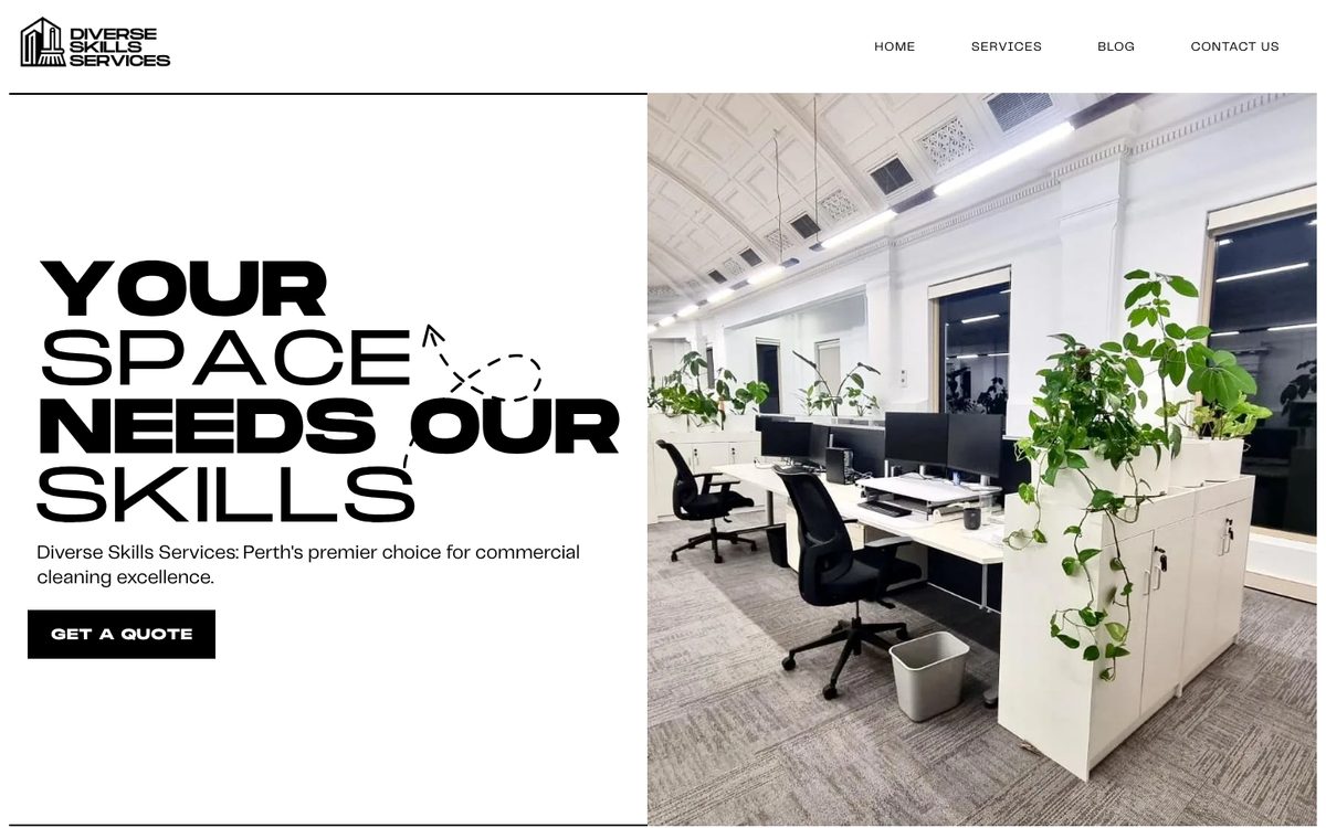 Diverse Skills website